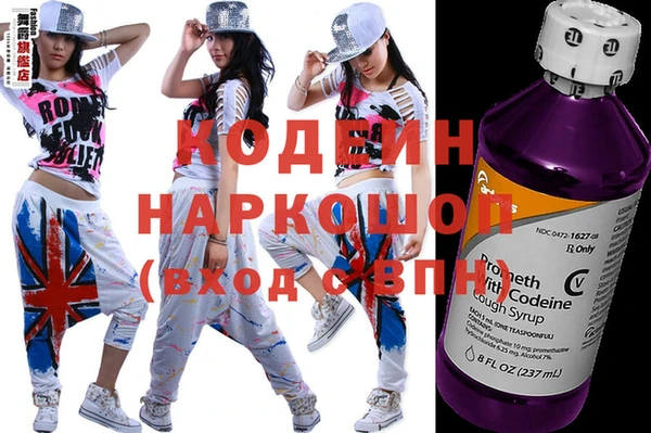 хмурый Алексин