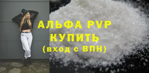 прущие грибы Переславль-Залесский