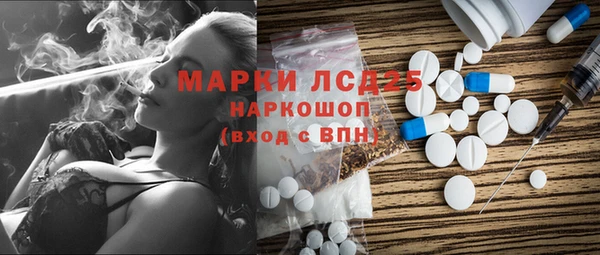 хмурый Алексин