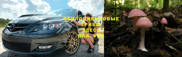 твердый Алзамай